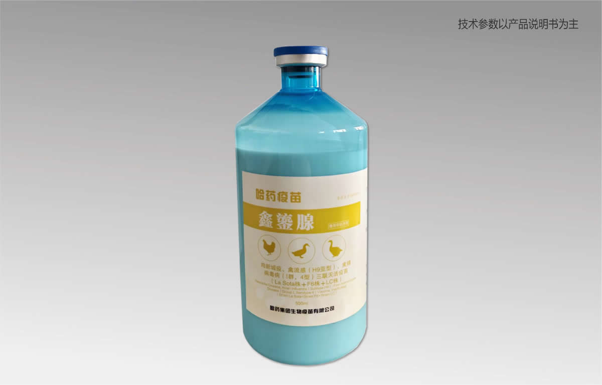 ???3??????????H9??????????????????I???4?????????????ĥLa Sota??F6??LC??