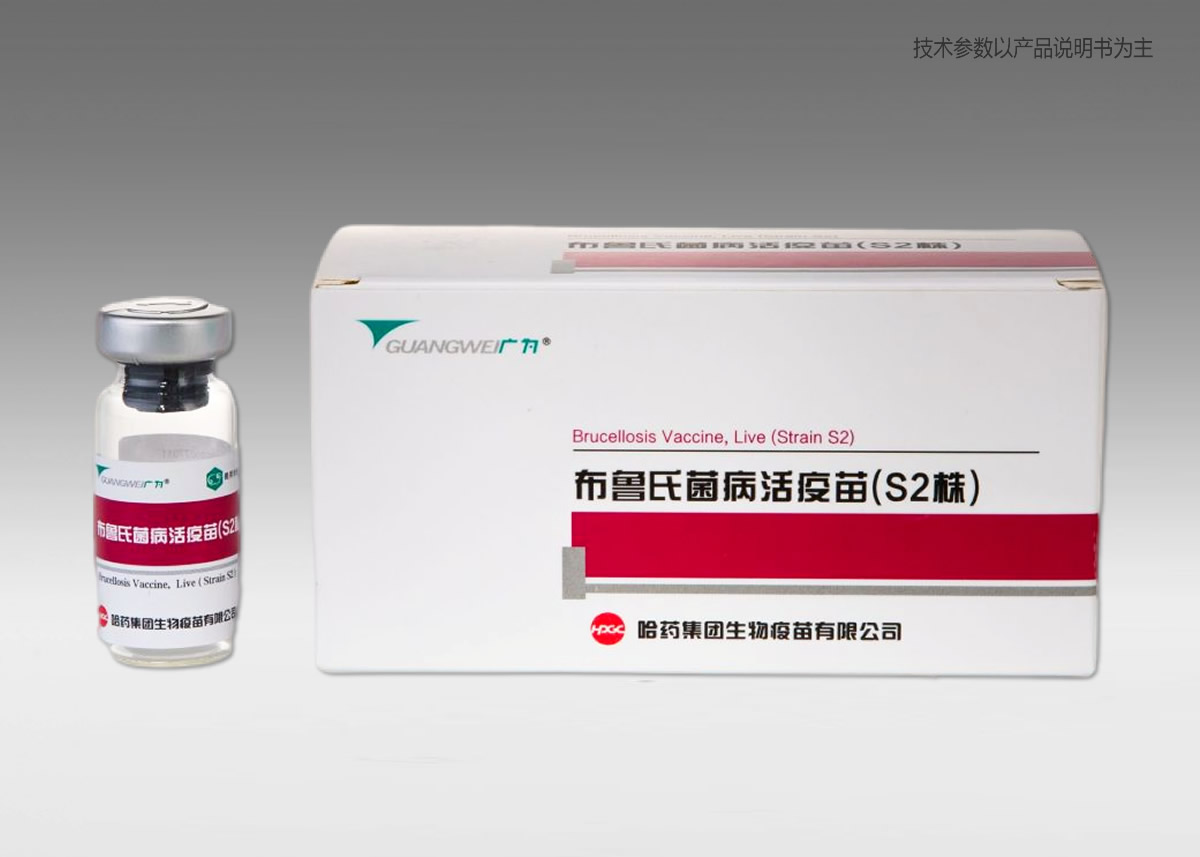 ??3???????????(S2??)