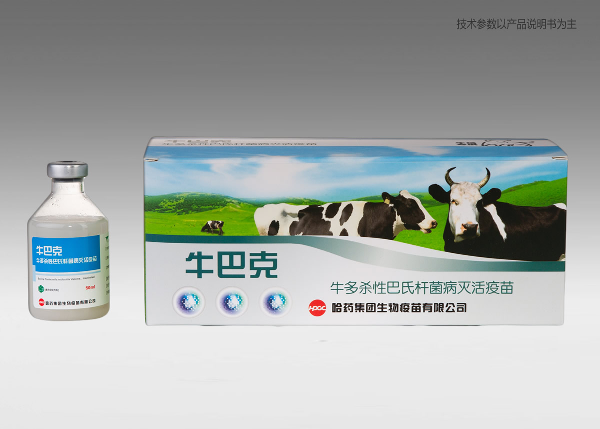 ????????????????????