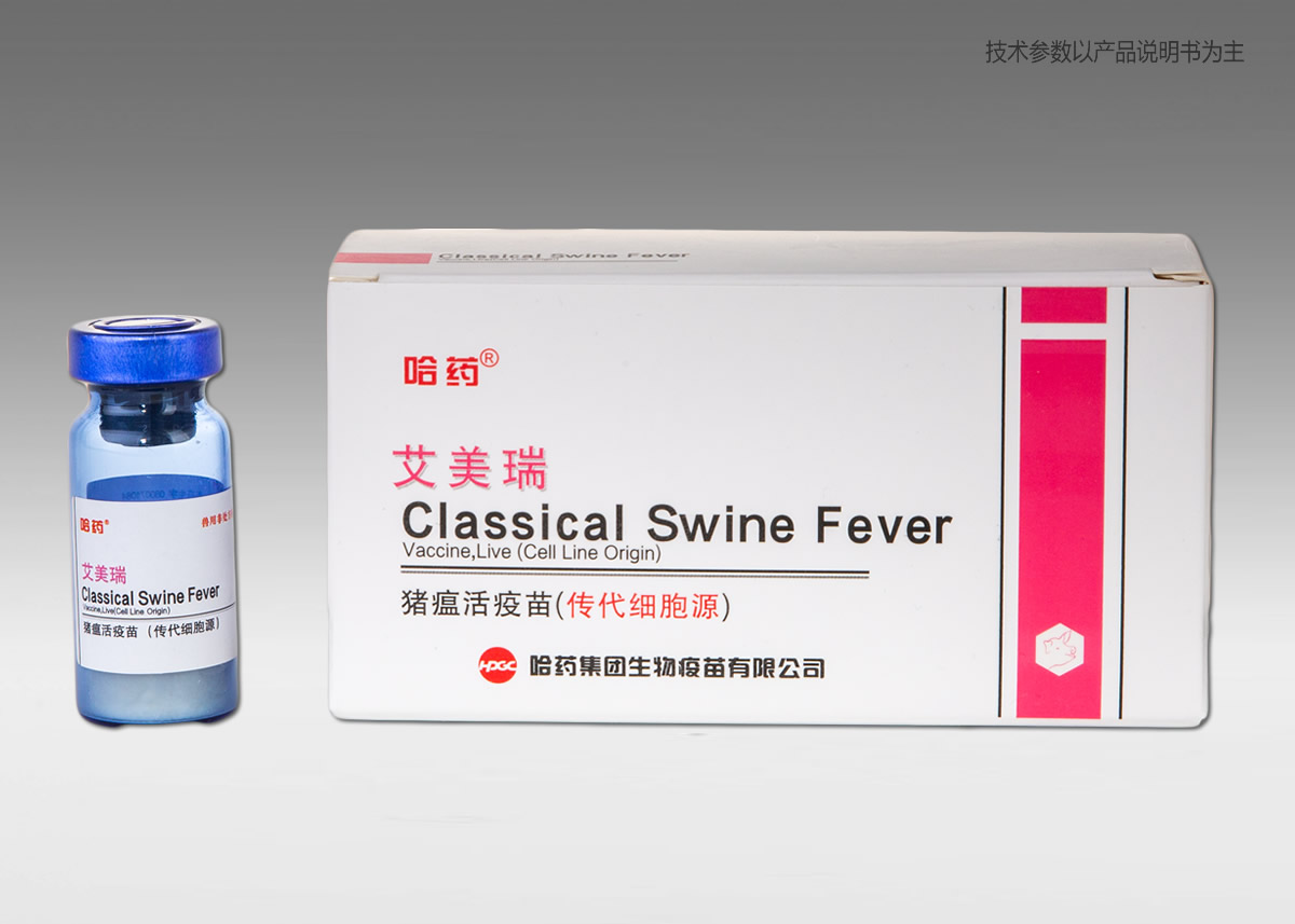 ?????????ĥ??????????