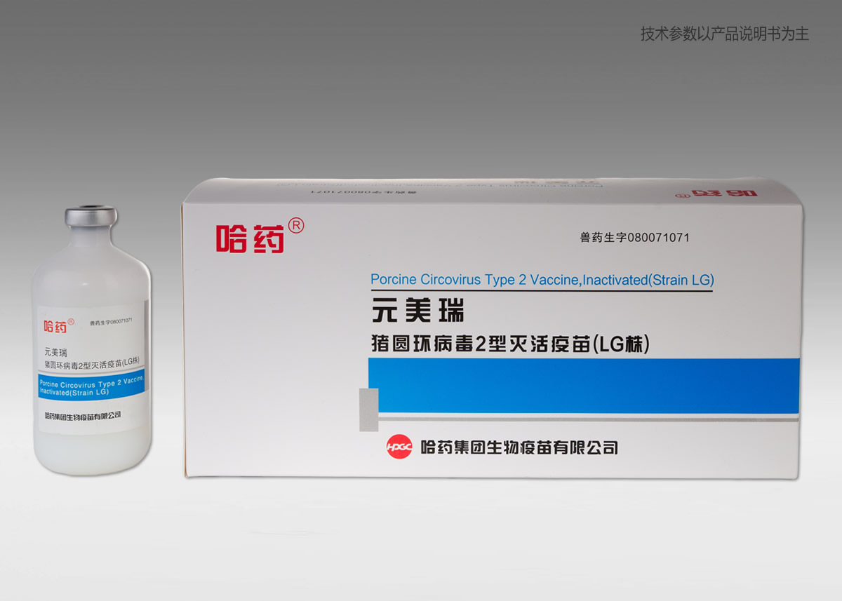 ?????????2????????ĥLG??