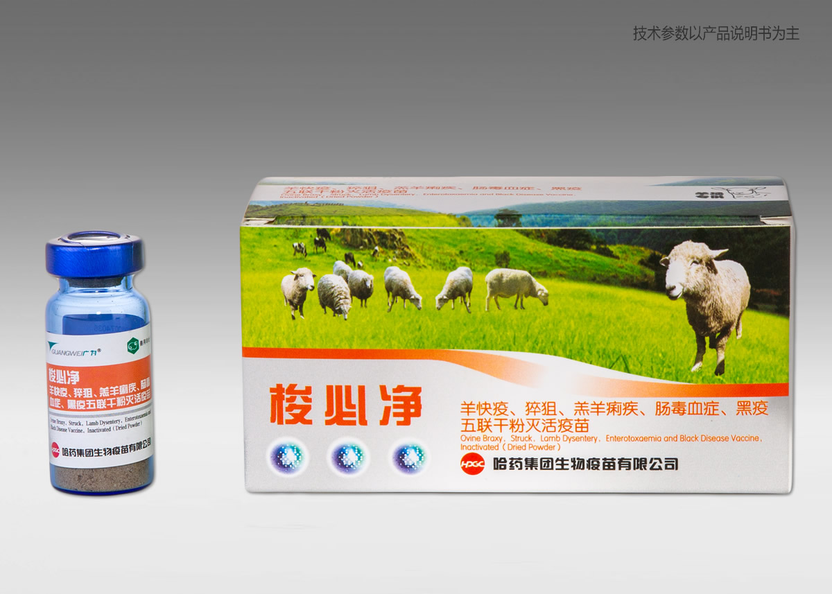 ??????????????????????????????? ??????????????