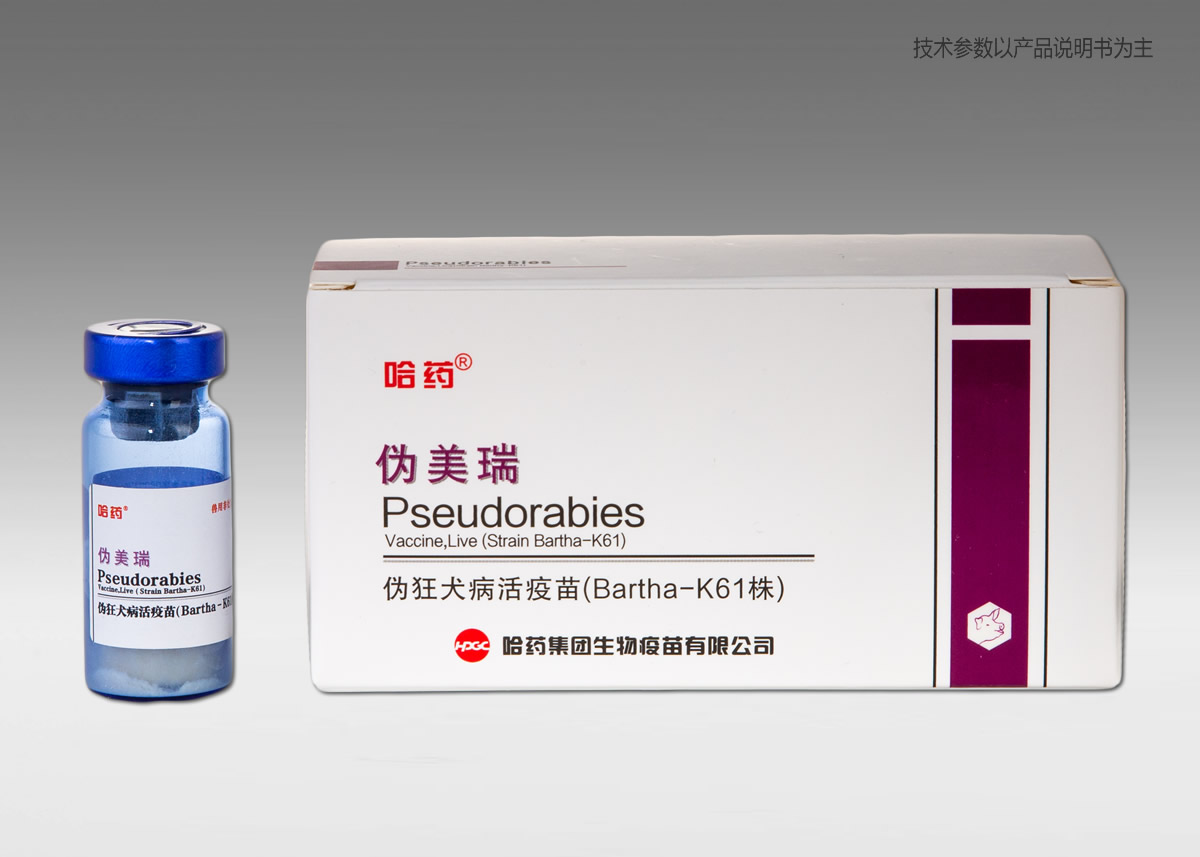 ??????????ĥBartha??K61??