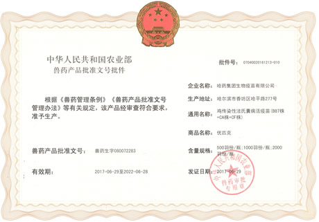 ??????????????????ĥB87??+CA??+CF??