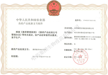 ??????????????H5+H7????????????ĥH5N1 Re-8??+H7N9 H7-Re1??