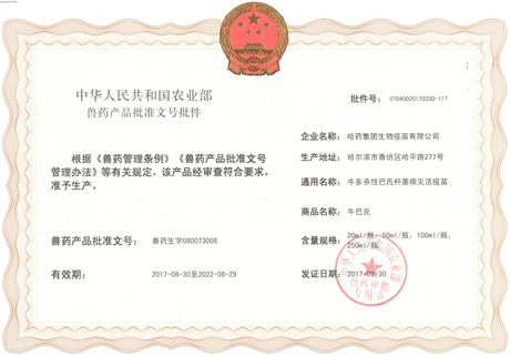 ????????????????????????