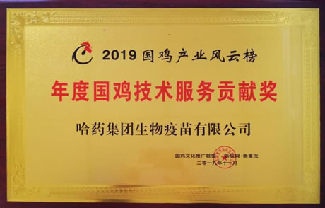 2019?????????????????????????????